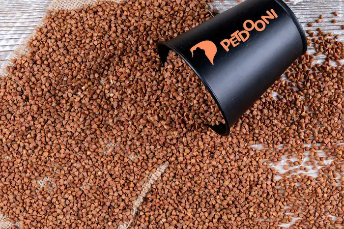 ظرف خاک گربه ارزان اما باکیفیت | معرفی 6 گزینه مقرون به صرفه بازار | پت شاپ آنلاین پت دونی